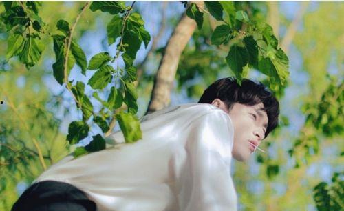 娱乐吃瓜张艺兴